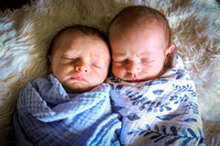 Lloyd Twins Newborn